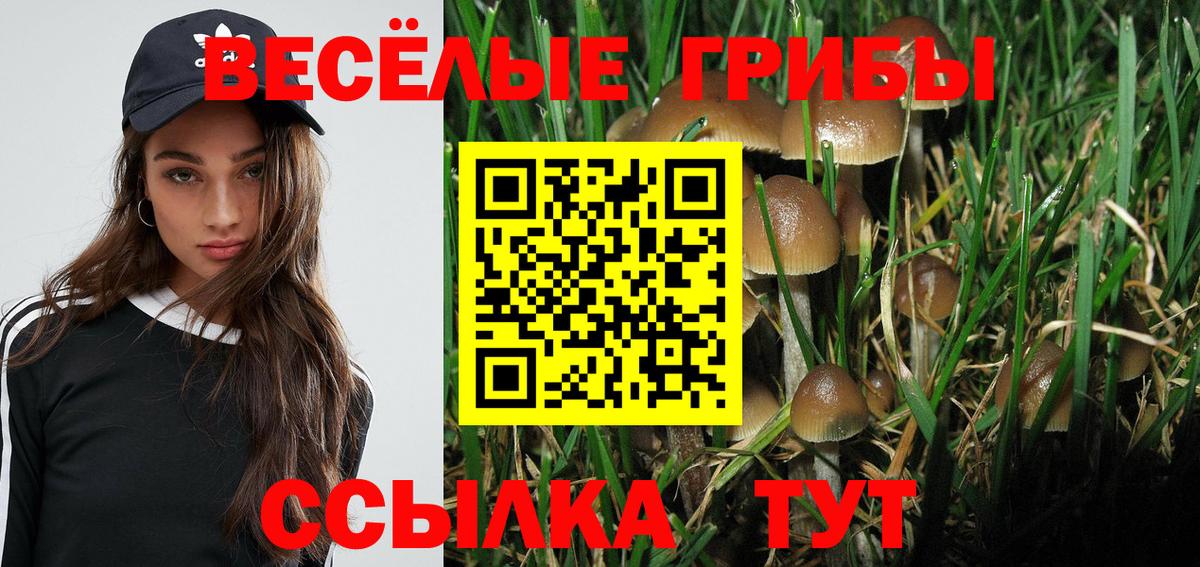 Галлюциногенные грибы MAGIC MUSHROOMS Курчатов