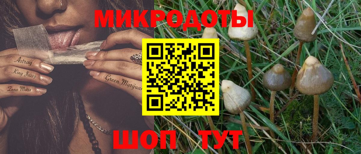 Псилоцибиновые грибы MAGIC MUSHROOMS  даркнет сайт  Псилоцибиновые грибы Cubensis  Курчатов  Вход с VPN 